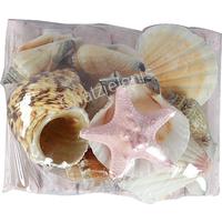 135290 ΟΣΤΡΑΚΑ ΣΕ  DRIFTWOOD ΡΟΖ 11Χ8